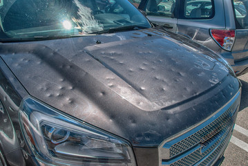 Hail-damaged hood used for technician-confirmed dent detection